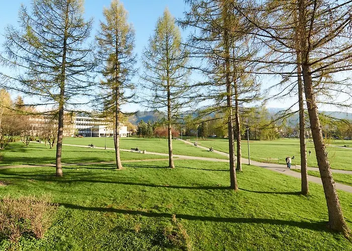 Sloneczny Apartamento