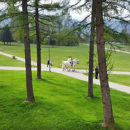 Sloneczny Apartment Zakopane
