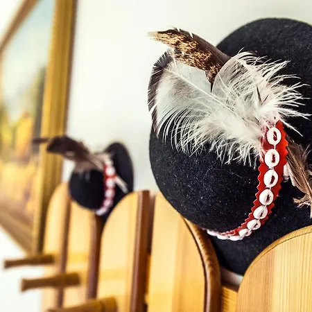 아파트 Sloneczny 자코파네