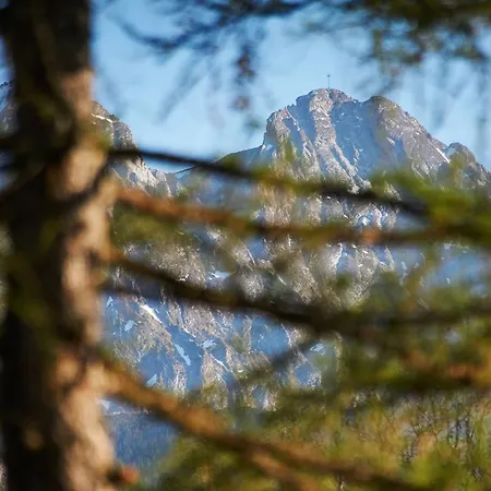 Sloneczny 아파트 자코파네